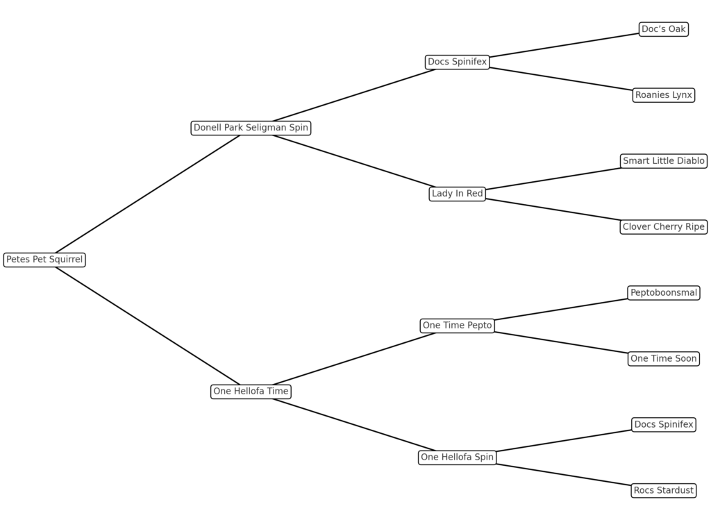 Four-Generation Pedigree Chart featuring Petes Pet Squirrel bloodlines.